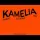 Akcent feat. Lidia Buble & DDY Nunes - Kamelia (Mert Harmankaya Remix)