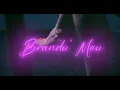 Marish - Brandu' meu (Original Radio Edit)