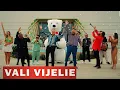 Vali Vijelie & Baboiash & Taraful Cantea - Ce-am avut si ce-am pierdut