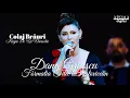 Dana Gruescu & Formatia Titel Brestovicean - Colaj Brauri