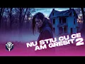 Bubu Pustanu - Nu stiu cu ce am gresit 2