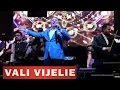 VALI VIJELIE - DA DOAMNE SA NU MAI MOR 2025 (Live)