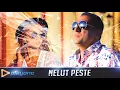 NELUT PESTE - Nu te pui cu blondele (Originala 2018)