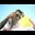 Florin Purice & Mitzu din Salaj - Isi face de cap lumea
