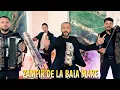 Zamfir de la Baia Mare - Eu nebun si tu nebuna