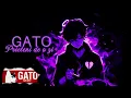 GATO - Prieteni de o zi