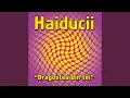 Haiducii - Dragostea Din Tei