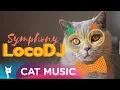 LocoDJ - Symphony (Original Radio Edit)
