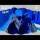 SONNY FLAME - OLIVER TWIST (D'BANJ COVER)