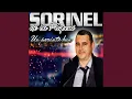 SORINEL DE LA PLOPENI - OMULE CU DATORII (Cover Mariuta Burlan)