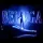 Florin Ristei - BELUGA