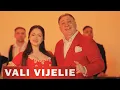 Vali Vijelie x Gino Greierasul - Are fata, are 2026