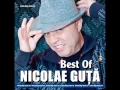 Nicolae Guta - Cine esti tu