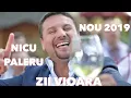 Nicu Paleru & Orchestra Fratilor Stefanet - Zii vioara