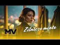 Manelele Viitorului - Zilnic se minte