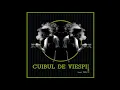 Cabron feat. Feli - Cuibul de viespi (Original Radio Edit)