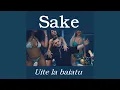 SAKE - UITE LA BAIATU 2023