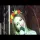 FORMATIA ALFA BAND BRAILA x ALEXANDRA MARIN - CONSTANTINE, CONSTANTINE