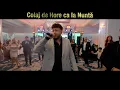 Colaj Hore de Nunta cu Iulian de la Vrancea & Ork Vrancenii