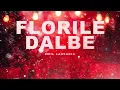 Emil Lassaria - Florile Dalbe