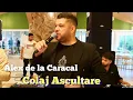Alex de la Caracal - Mi-a placut spritul si viata & asta seara vreau sa beau (Live 2025)