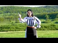 Ileana Craciun - Pe langa casuta mea
