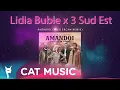 Lidia Buble x 3 Sud Est - Amandoi (Alex Ercan Remix)