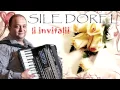 Sile Dorel - Instrumentala Acordeon Banat