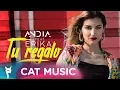 Andia Feat. Erika - Tu Regalo (Original Radio Edit)