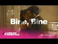Manelele Momentului - Bine, Bine