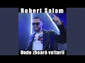 Robert Salam - Avem o iubire mare (Originala 2018)