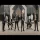 Edi Motan & Banat Express - Colaj Brauri (Cover)