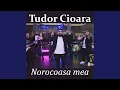 Tudor Cioara - Norocoasa mea