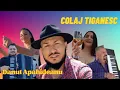 Danut Apahideanu - Colaj jocuri tiganesti