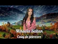 Mihaela Sultan - Colajul petrecerilor x Cea mai frumoasa atmosfera - LIVE 2025