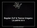 Bogdan de la Ploiesti si Tzanca Uraganul - La palme ia-o (Originala 2018)